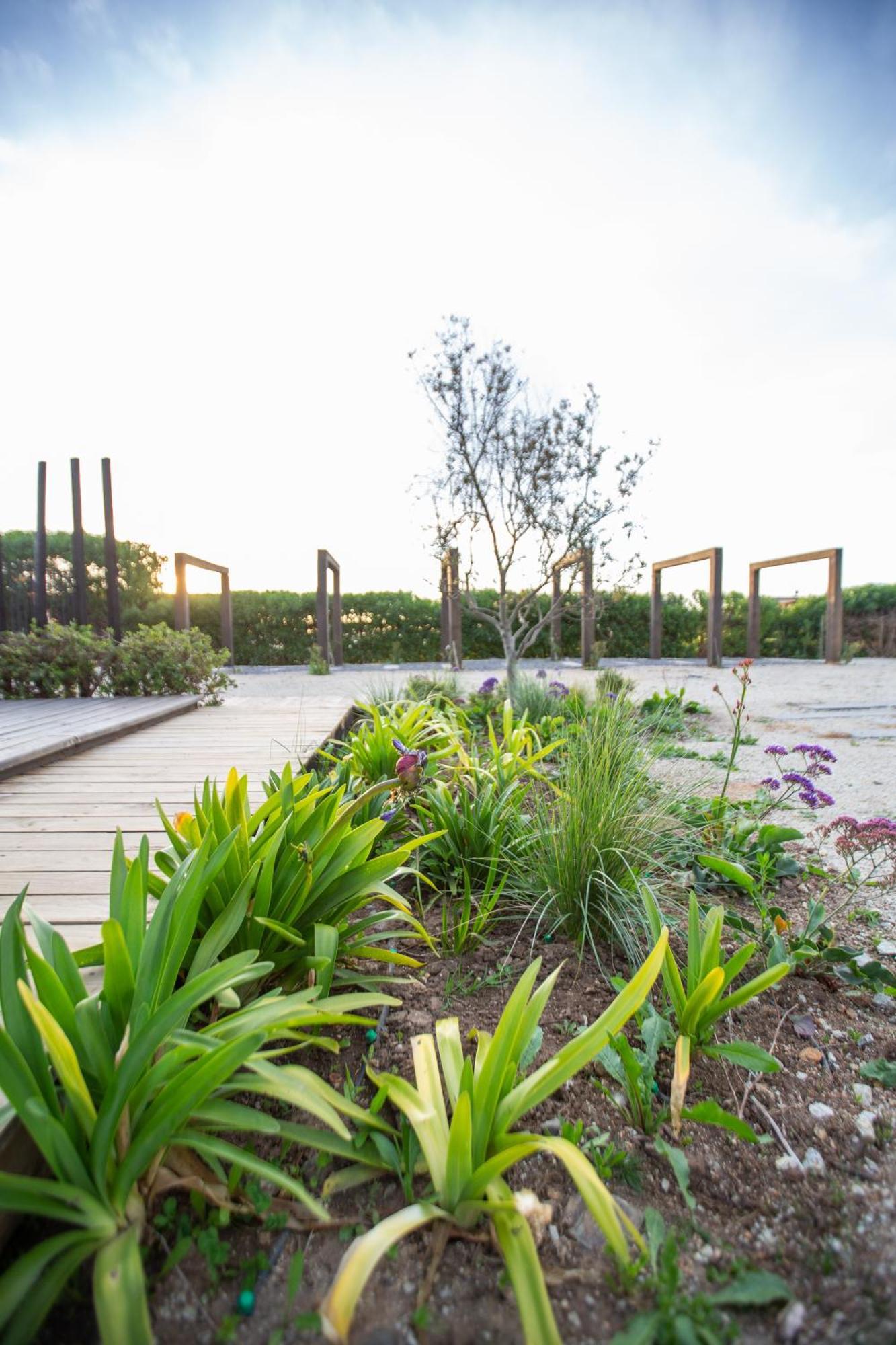 Refugio Lobos Villa Pichilemu Exterior photo